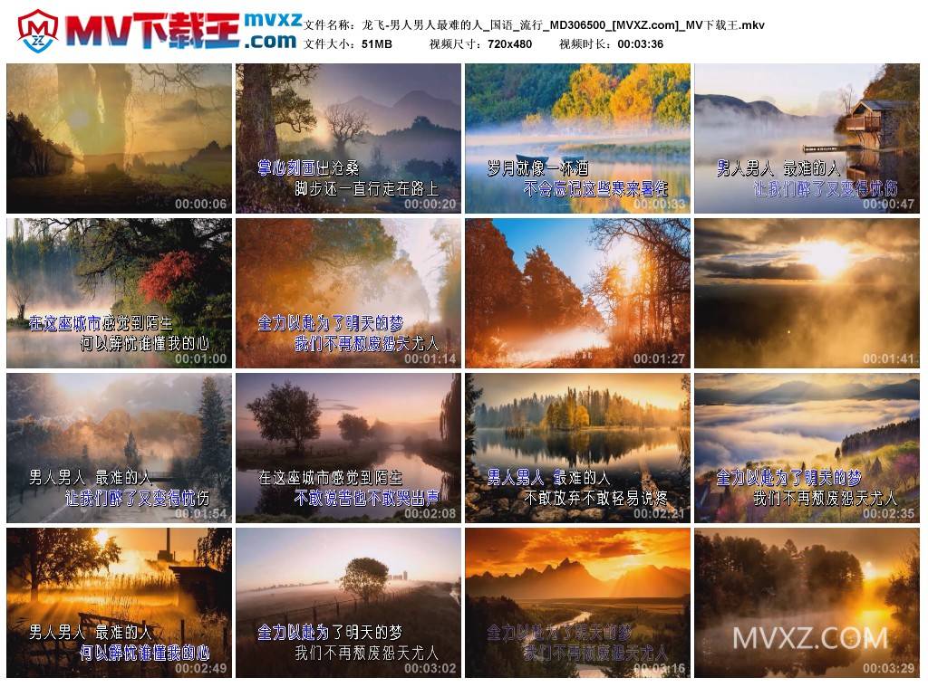龙飞-男人男人最难的人_国语_流行_MD306500